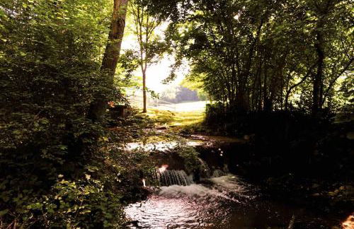 Cascina Canale - Foto 35