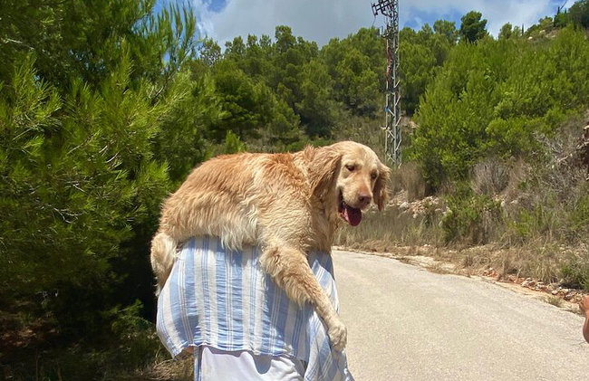 Rutas de senderismo por Moraira Guía oficial - Foto 23