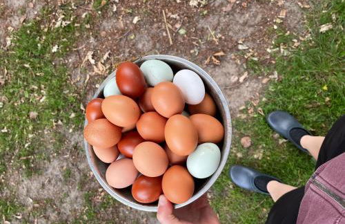 Hof Brockmann - Ferienhaus Spieker - Foto 13