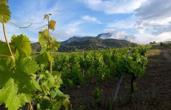 Auberge Santu Martine: Cottage with Pool (Manca) - Foto 40