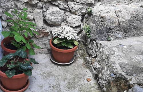 CASA RURAL "ECCEHOMO de BORJA" - Foto 71