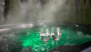 Domki Pod Łysicą- basen jacuzzi sauna - Foto 2