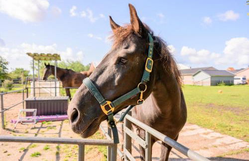 Ferienwohnung Fachwerkhaus - Westen oben - Bauernhof Hopp Vadersdorf - Foto 37