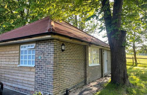 Motts Lodge - Photo 28