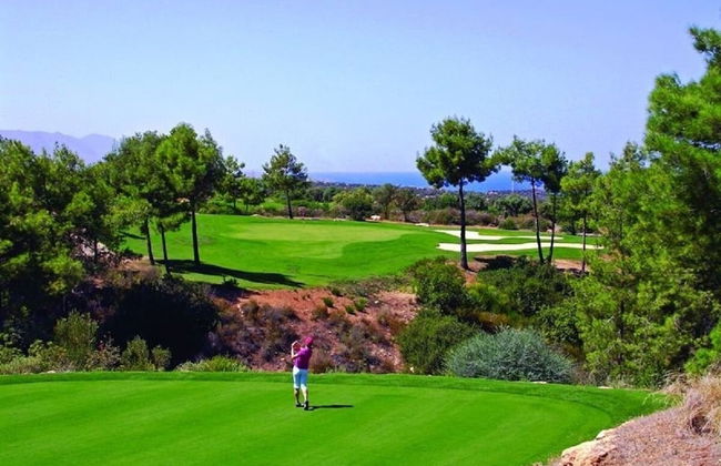 Sea Cliff Villa, 4 Beds, Sleeps 2- 8, Free Wifi, - Foto 44