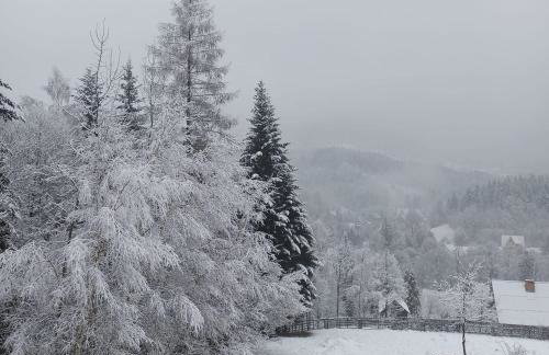 Zawoja domki z jacuzzi, domek w stylu góralskim - Foto 28