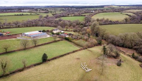 The Piggery - Foto 4