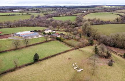 The Piggery - Foto 4