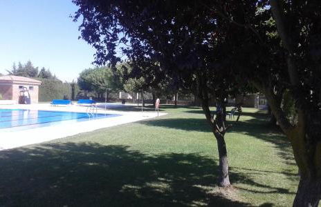 Ca naleix verdu - Foto 120