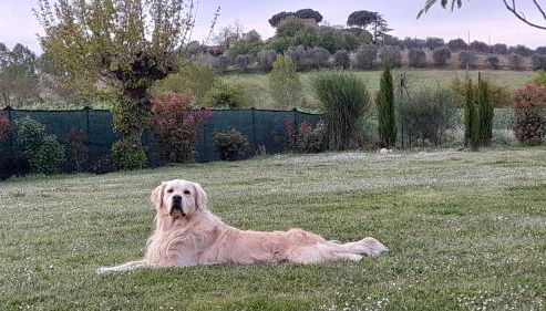Montepulciano - La Casetta del Pian delle Noci - Foto 4