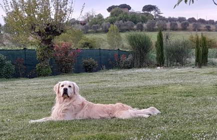 Montepulciano - La Casetta del Pian delle Noci - Foto 4