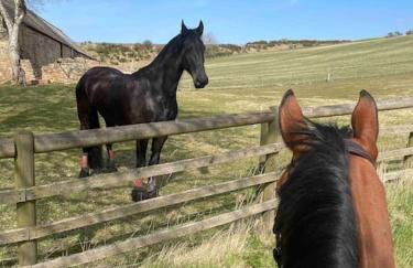Borthwick Farm Cottage Pottery - Foto 20