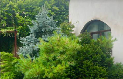 Il Giardino Segreto - Foto 29