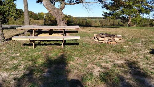 Cabin with a tree house on a buffalo farm . - Foto 5