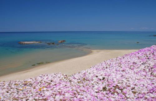 Appartamento Casa vacanza Le Terrazze Via Parigi,23 - Foto 36