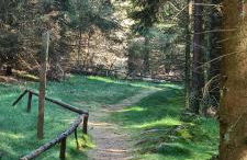 Haus Kellerwald - Ferienwohnung Kellerwald-Edersee - Foto 32