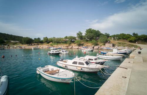 Holiday house Toš-Vila with heated pool - Foto 60