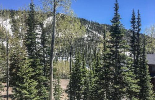 Eagle Point Ski Resort 8 Wooded Ridge Condos - Foto 31