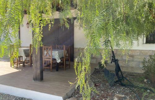 LAS PALMERAS - Foto 37