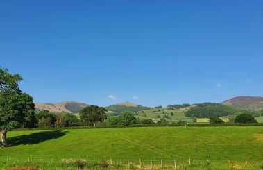 The Granary - Photo 4