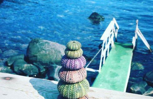 A casa di Edo - Foto 40