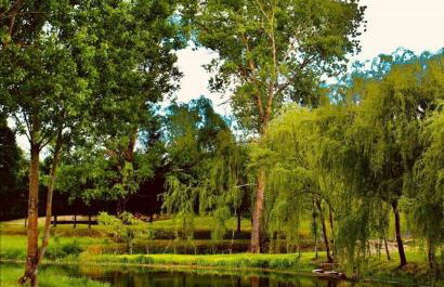 Holiday Home Bulog - Foto 66