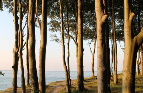 Ferienwohnung Gerda in Ostseenahe - Foto 71