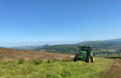 Pant Llwyd Farm - Foto 31