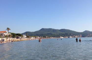 Les Palmiers - Foto 26