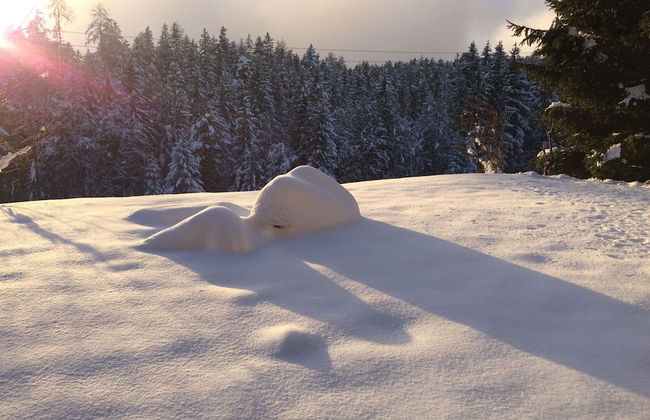 Apartment in Fresach Near Millstattersee With Pool - Foto 28