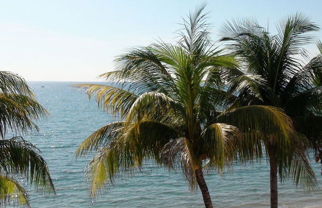 Squares Cafe and Apartments - Foto 74