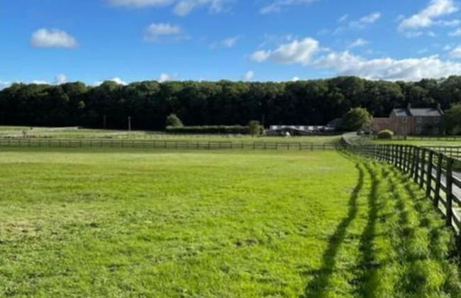 Swallow Cottage - Foto 11