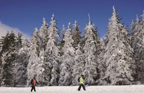 Appartements Waldrose - Foto 19