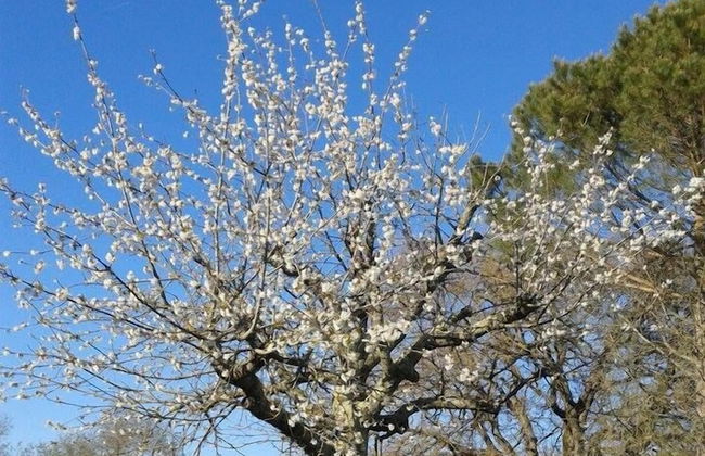 Agriturismo Il Cornalino - Photo 15