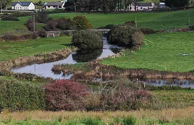 Rose Cottage in Ennistymon - Near Cliffs of Moher - Photo 11