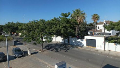 Chiclana Apartamento zona playa - Foto 3