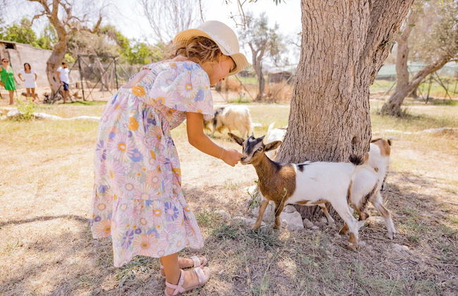 AGRITURISMO LE TAGLIATE - Foto 62
