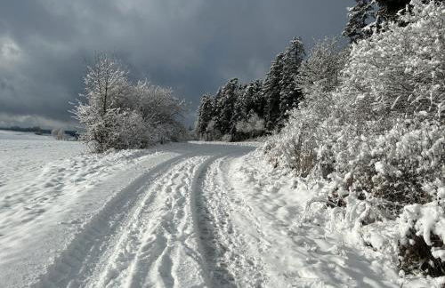 Schorsch's Ferienhaus - Foto 45