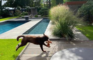 Herrenhaus mit Pool-Landschaft - Foto 6