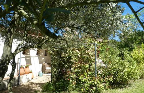 Le pré de la Chaumette - Foto 6