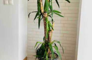 Puerto Banus - Photo 41