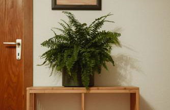 Moderne Wohnung mit 2 Schlafzimmer - Foto 16