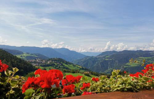 Gfliererhof - Foto 50