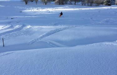 Winter-Nest - Foto 27