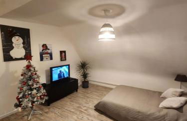 Gîte du logelbach - Foto 21