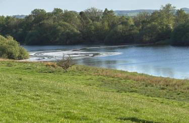 Mains of Greenlaw Cottage - Foto 3