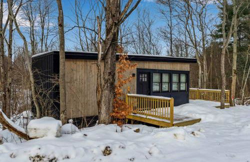 Modern Tiny Home Wraparound Deck - Foto 40