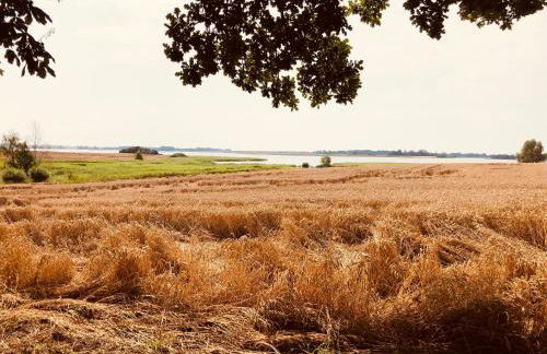 Ferienwohnung Zur Schoritzer Wiek - Foto 31