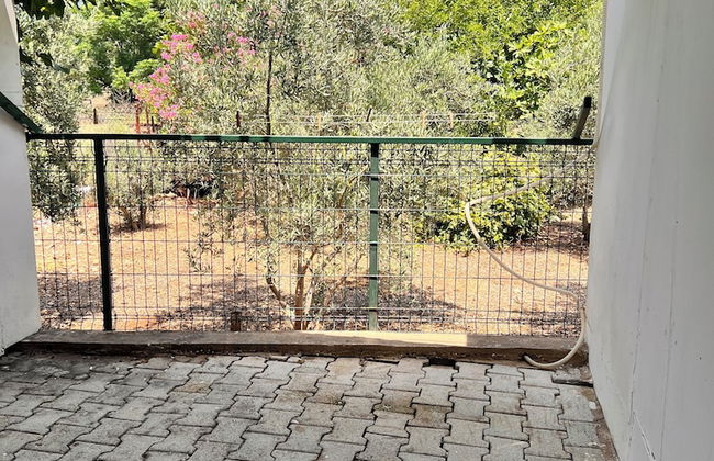 Adrasan Parlak Evleri - Foto 21