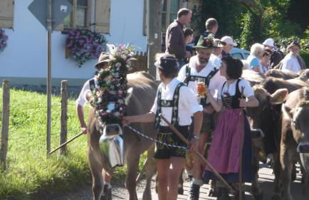 Gastehaus Luise - Photo 8